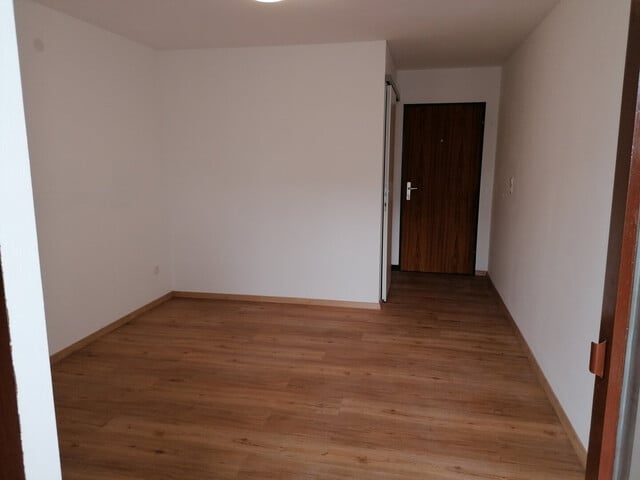 Single Apartement in Nenzing