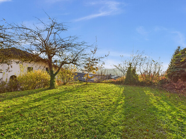 Grundstück in beliebter Hanglage in Klaus mit Altbestand