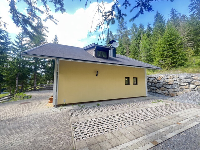 Neu saniertes 2-Familien Almhaus in ruhiger Lage