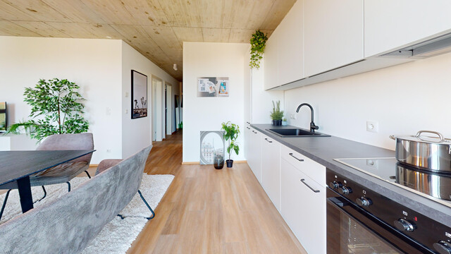 Bezugsfertige 3-ZI-WOHNUNG m. Balkon in Hard zwischen Ried 🌳 & Bodensee 🚤