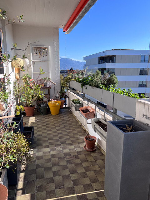 Modernisierte 3-Zimmerwohnung in Lustenau