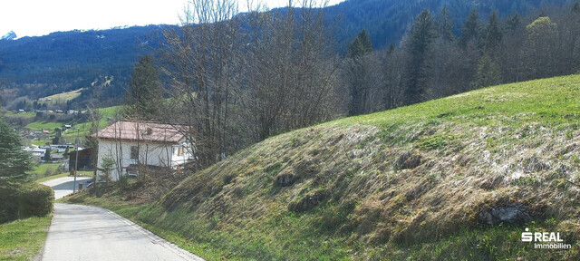 Traumhaftes Baugrundstück in idyllischer Lage in Dalaas