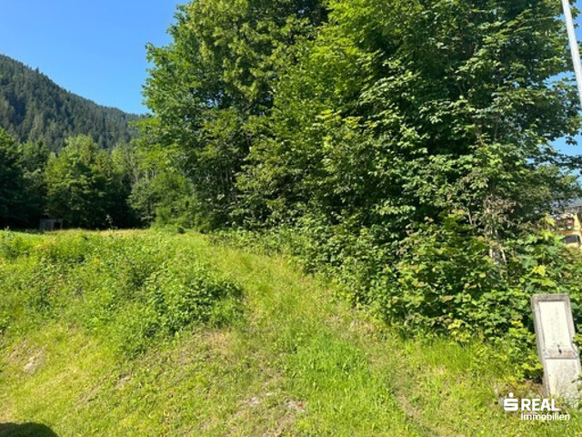 Traumhaftes Baugrundstück in idyllischer Lage in Dalaas