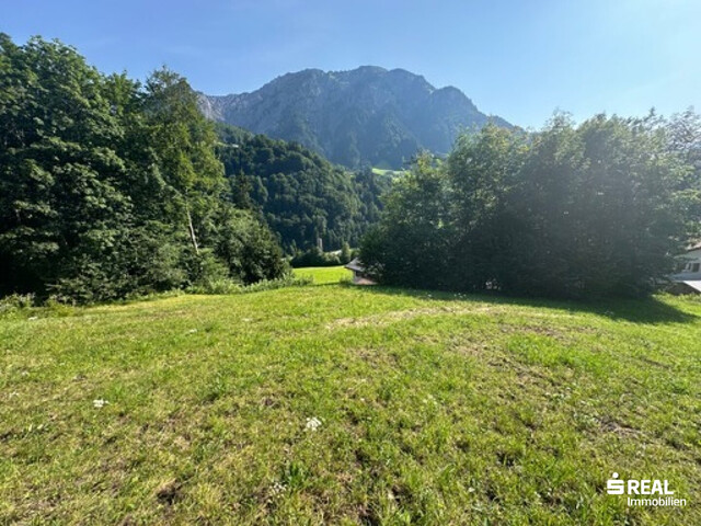 Traumhaftes Baugrundstück in idyllischer Lage in Dalaas