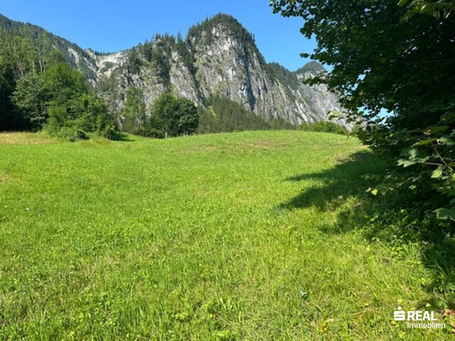 Traumhaftes Baugrundstück in idyllischer Lage in Dalaas