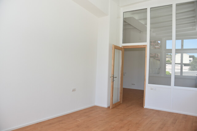 Erstbezug: Tolles Loft mit Blick zur Ill