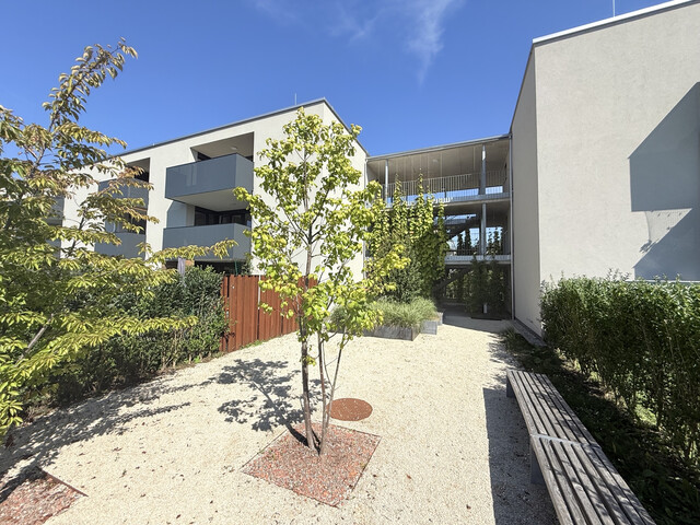 2 Zimmer-Wohnung  |  Garten  |  Modern
