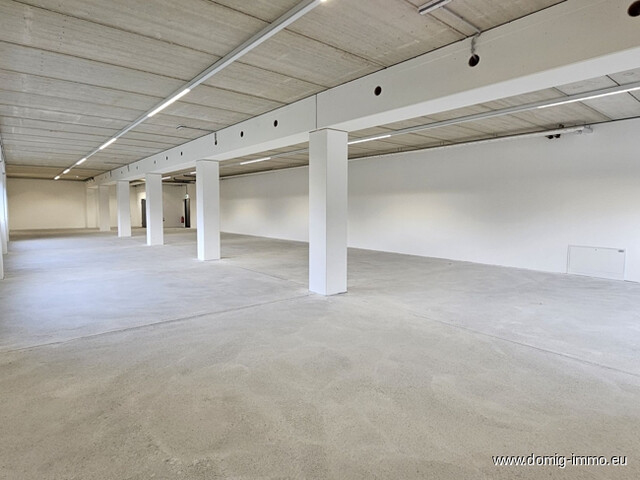 Großzügige Lagerfläche mit vielen Verwendungsmöglichkeiten, 1. OG, 331m² im Betriebsgebiet Dornbirn Nord