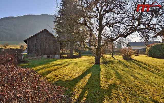 Großes Baugrundstück in sonniger Lage mit schöner Fernsicht