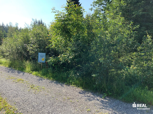Grundstück mit Ferienwidmung in der Natur