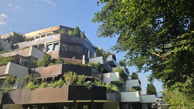 Wohnung mit großer Terrasse im Reichenfeld