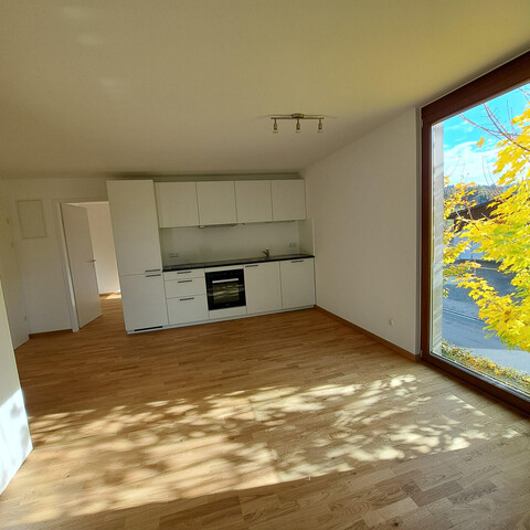 Neu renovierte 3-Zimmer-Wohnung in Tosters! 