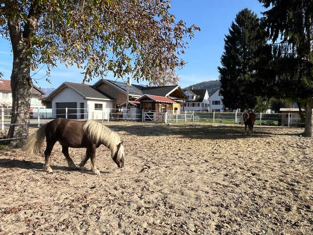 Einfamilienhaus mit großem Grund in Feldkirch