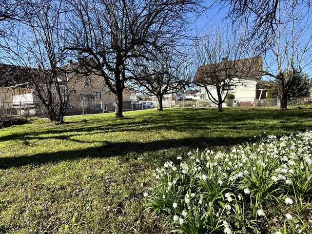 kleine, in Sackgasse gelegene Liegenschaft perfekt für Ihren Haustraum, in Hohenems zum Verkauf!