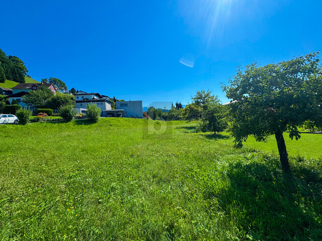 SONNIG, RUHIG UND BESTENS ANGEBUNDEN