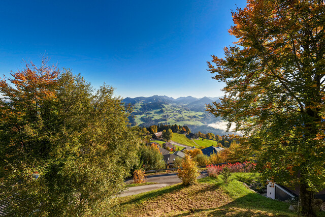 Großzügiges Ferienhaus mit Weitblick und Privatsphäre im Bregenzerwald