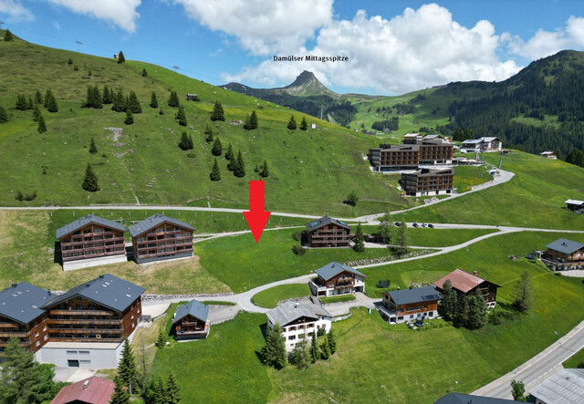 896 m² Grundstück 1 in Oberdamüls - 
im Bregenzerwald