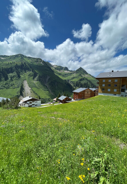 896 m² Grundstück 1 in Oberdamüls - 
im Bregenzerwald