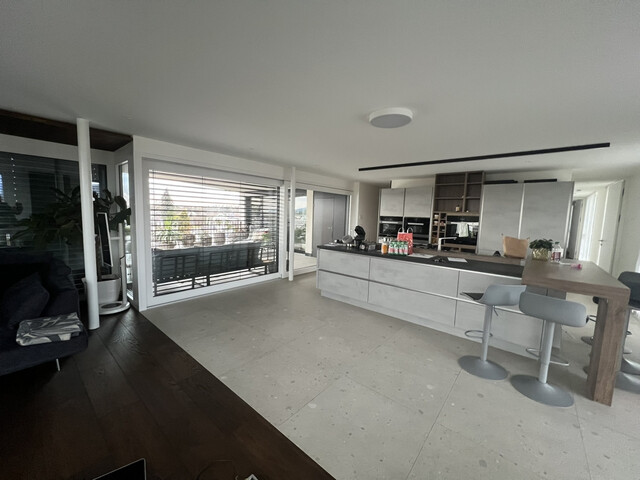 Exklusives Penthouse mit großer Sonnenterrasse, Hard