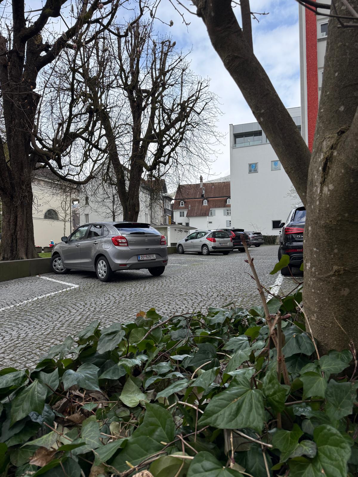 Wohnen im Herzen von Dornbirn - Urbanes Flair trifft Ruhe Oase 