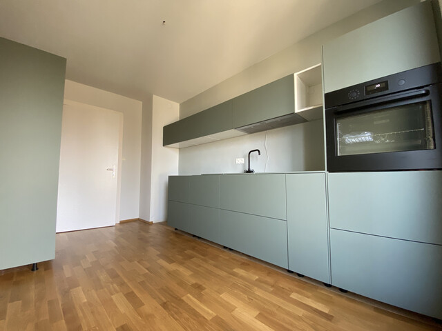 Sonnige Stadtwohnung mit Seesicht und grosser Terrasse, ruhig und zentral