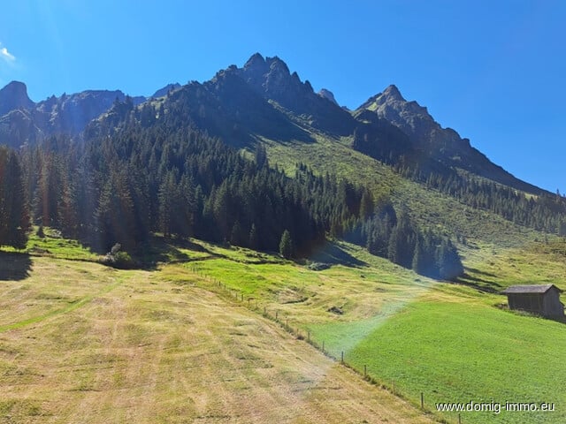 Seltenes Angebot: Dachwohnung mit Ferien-Zweitwohnsitzwidmung in der schönen Bergwelt von Gargellen!