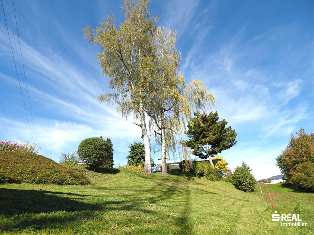 Baugrundstück in Aussichtslage in Göfis!