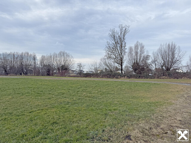 Fußach: Grundstück in ruhiger Lage