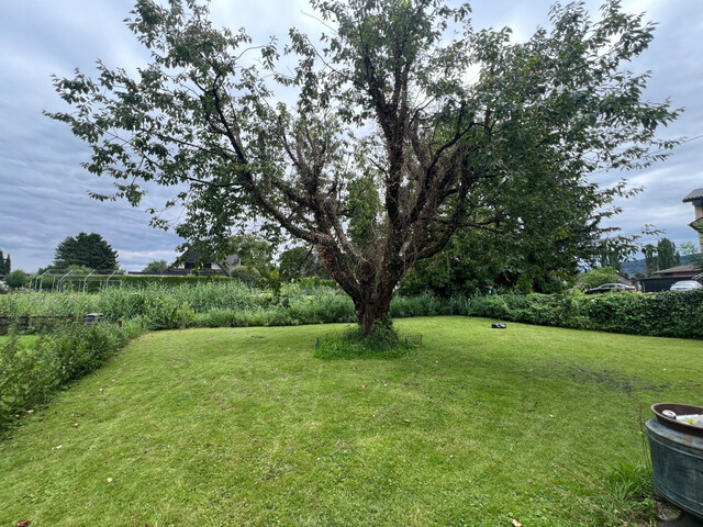 Renovierungsbedürftiges Einfamilienhaus mit schönem Garten in Höchst