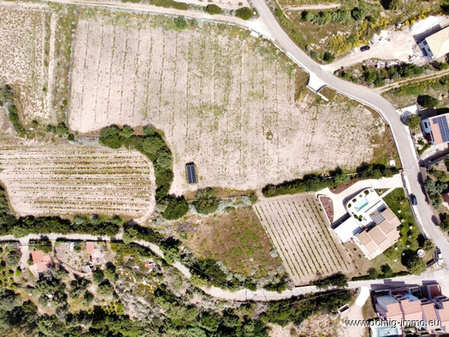 Mediterranes Anwesen mit Weinberg, Olivenhain & Meerblick – Badesi, Sardinien