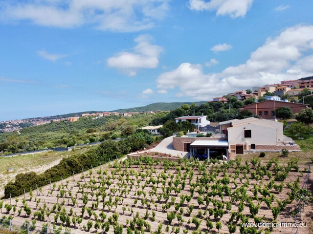 Mediterranes Anwesen mit Weinberg, Olivenhain & Meerblick – Badesi, Sardinien