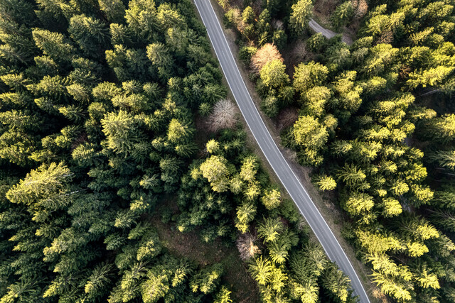 Exklusives Ferienrefugium über Dornbirn – Naturidylle mit beeindruckendem Bodenseepanorama - inkl. unbebauter Bauparzelle und Waldgrundstück