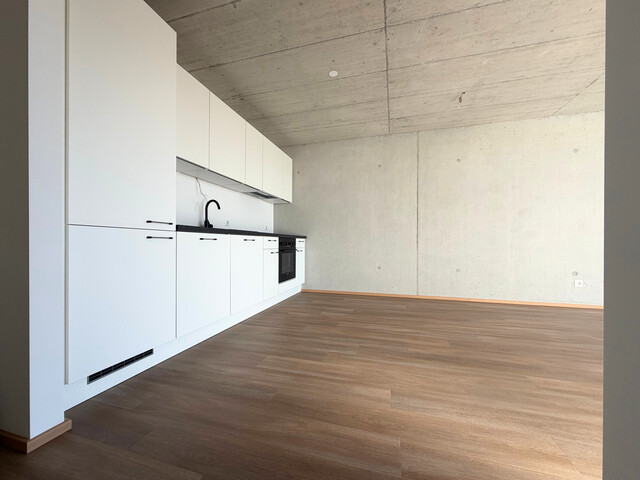 Jetzt Eigentümer werden: 2-Zimmer-Neubau in Hard ab € 810 mtl. Rate* 🔥