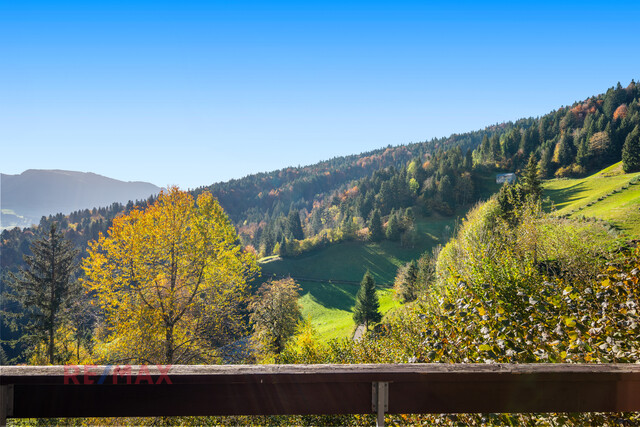 Ferienhausparadies Alberschwende – Naturerlebnis vor der Tür