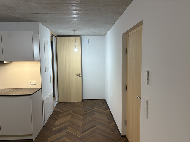 Neubau: Modernes möbliertes Appartement in zentraler Lage