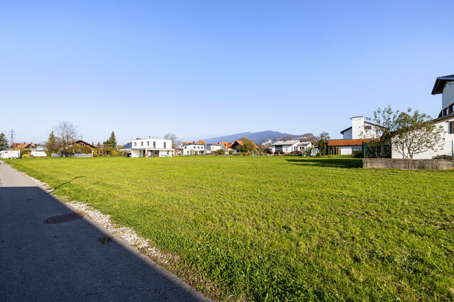 Einzigartiges Grundstück in Lauterach - Steinfeldgasse