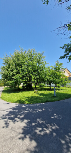 Grundstück in sonniger Lage!