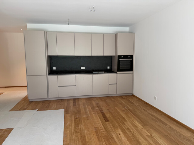  Exklusiv und sonnig 3-Zi-Wohnung in Schlins        "ERSTBEZUG"