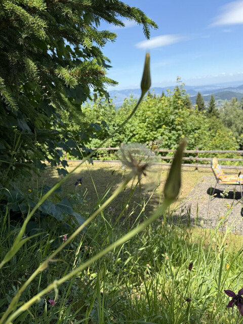Charmantes Ferienhaus - 4 Zimmer & 2 Bäder mit Bodenseeblick