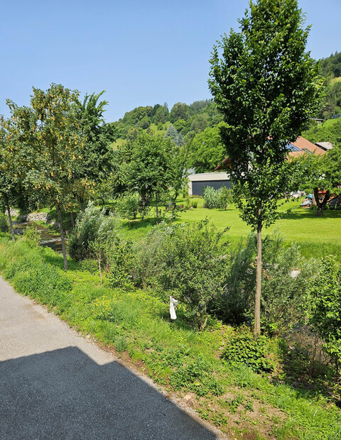 Einmalige Gelegenheit - Neue 3-Zimmerwohnung in Bludesch (provisionsfrei) zu kaufen - sofort beziehbar!