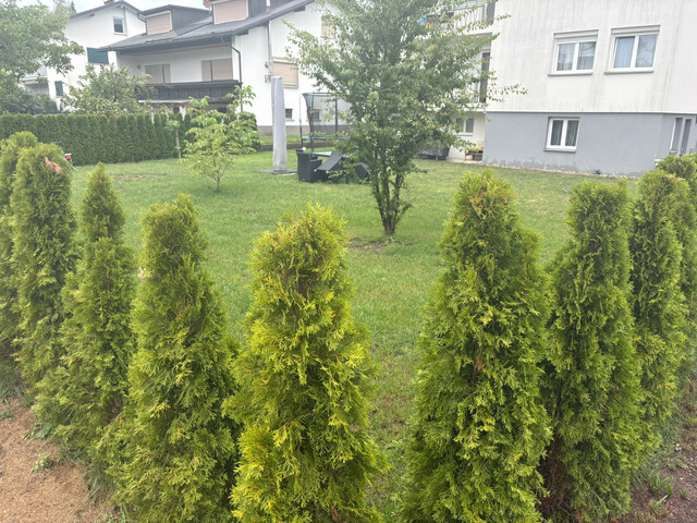 Mehrfamilienhaus in Dornbirn