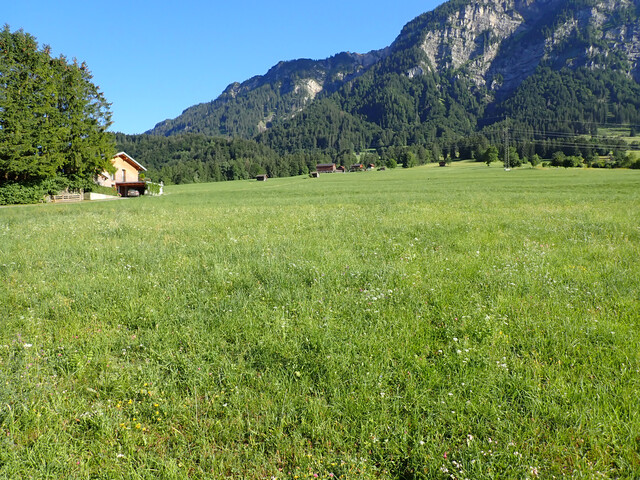 Bludenz-.Oberradin... Baugrundstück… Südhanglage, ideale Größe und verkehrsberuhigt…