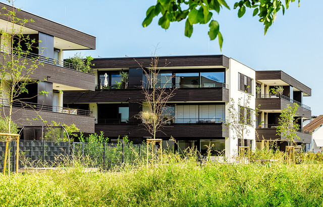 Sehr sonnige 3-Zimmer Terrassenwohnung (Bezugsbereit)