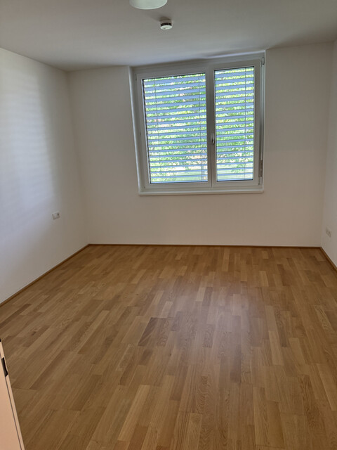 Schöne 4-Zimmer-Wohnung im 1. Obergeschoss - Dammweg Klaus
