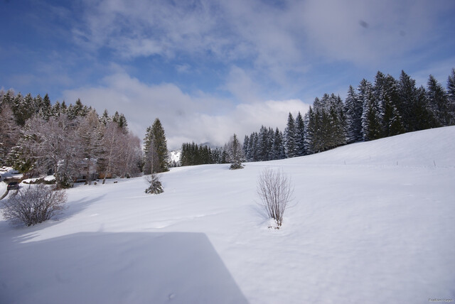 Traumhafte Ferienwohnung mit Panoramablick in Übersaxen – inkl. großzügiger Garage!