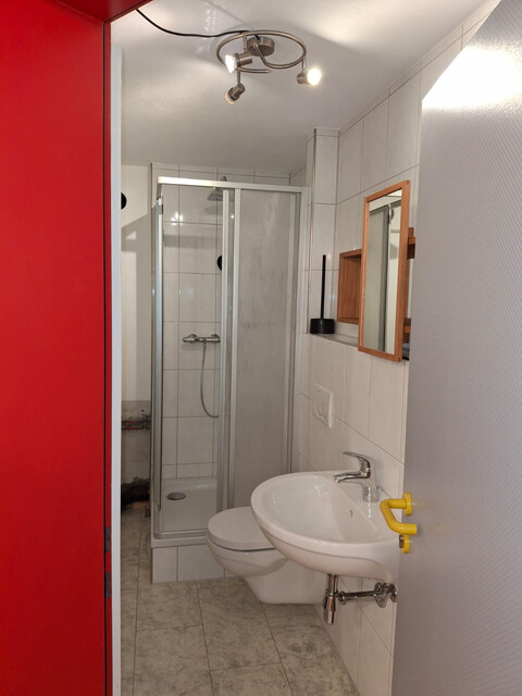 Schöne Wohnung im Industriestil mit Blick ins Grüne in Lustenau zu vermieten