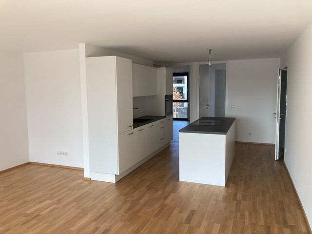 Neuwertige 3 Zimmerwohnung in Höchst