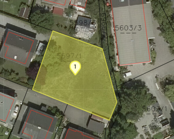 Sonniges Baugrundstück mit 826 m² in begehrter Lage von Lustenau