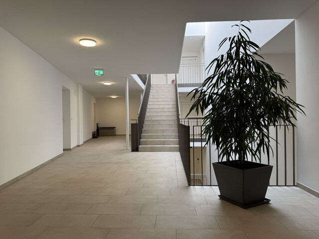 HEIMRIED 5: Moderne Architektur: 3-Zimmerwohnung mit Balkon, PROVISIONSFREI