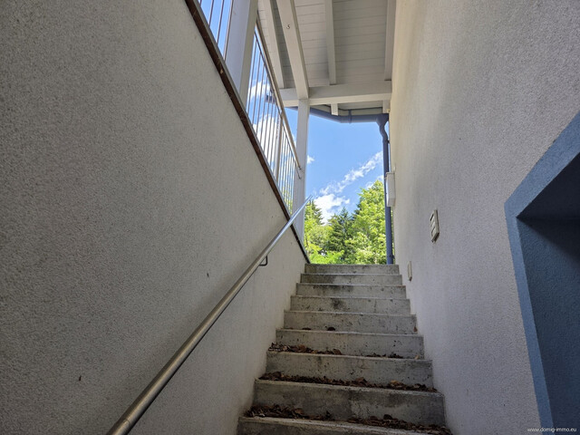 Charmante 3 Zimmer Ferienwohnung mit großzügigem Außenbereich in Dalaas